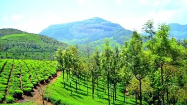 Munnar_hill_station