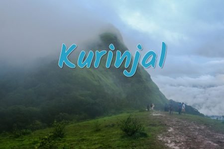 Kurinjal Trek Chikkamagalur