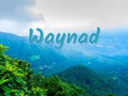 Wayanad Tour