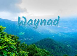 Waynad