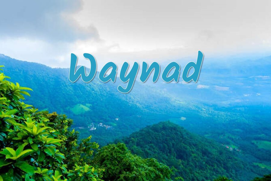 Wayanad Tour