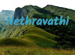 Nethravathi
