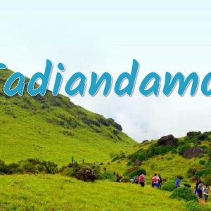 Tadiandamol