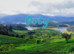 Ooty
