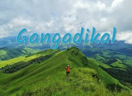 gangadikal