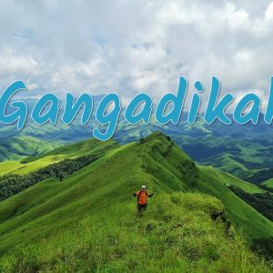 gangadikal