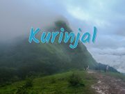 Kurinjal Trek