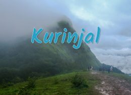 kurinjal
