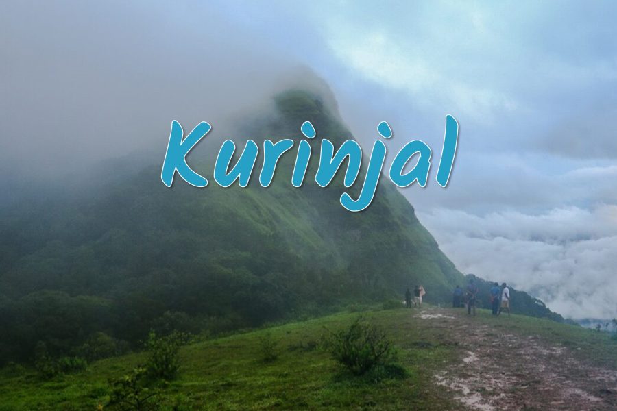 Kurinjal Trek