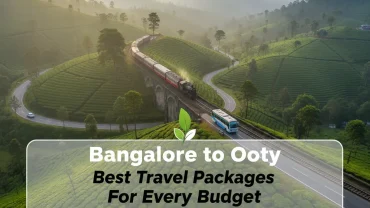 Bangalore to Ooty Best Travel Packages for Every Budget