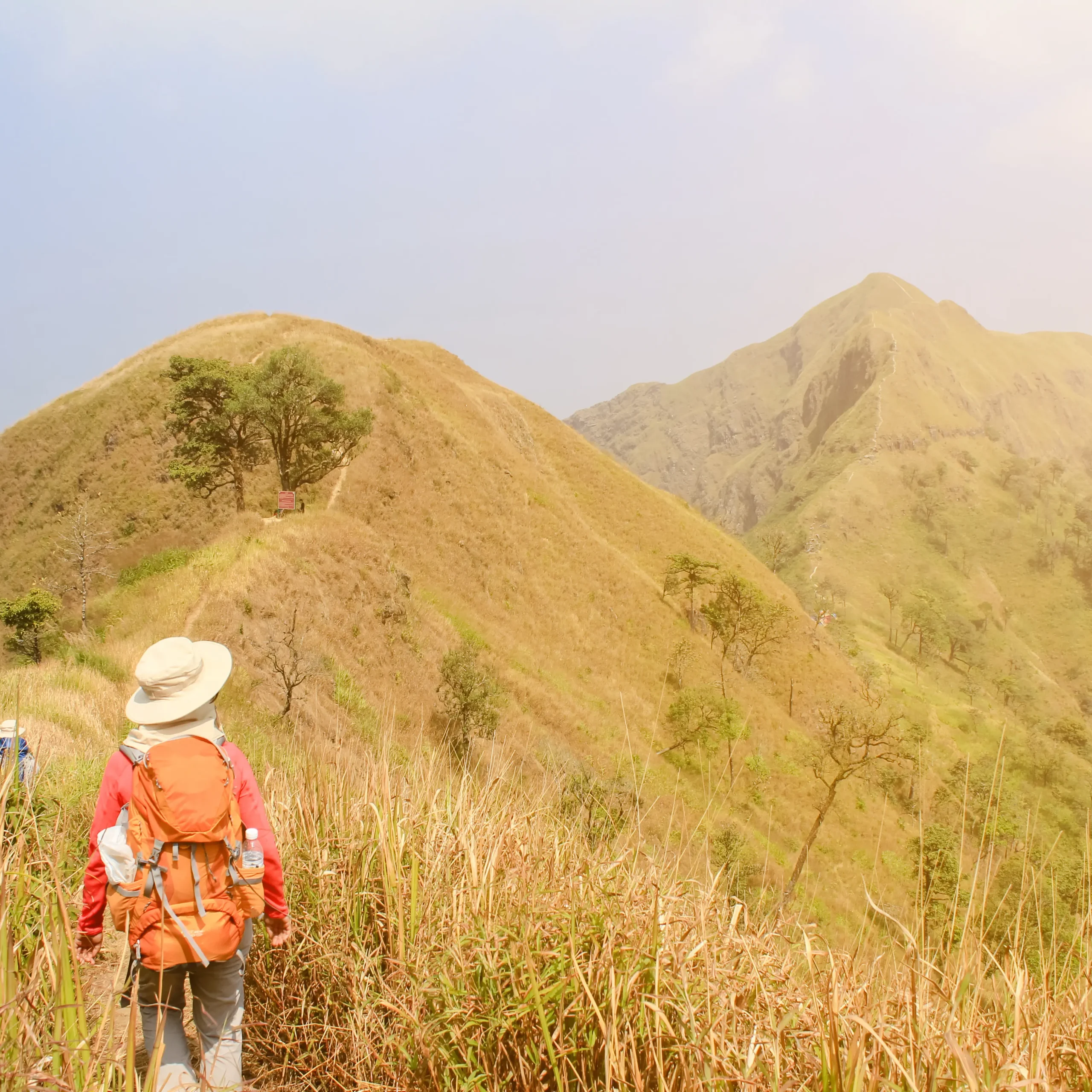 Why Uttari Betta Trek is the Best Early Morning Trek near Bangalore