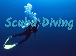Scuba Diving