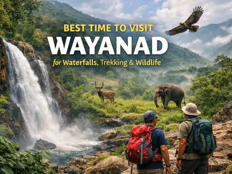 best time to visit wayanad
